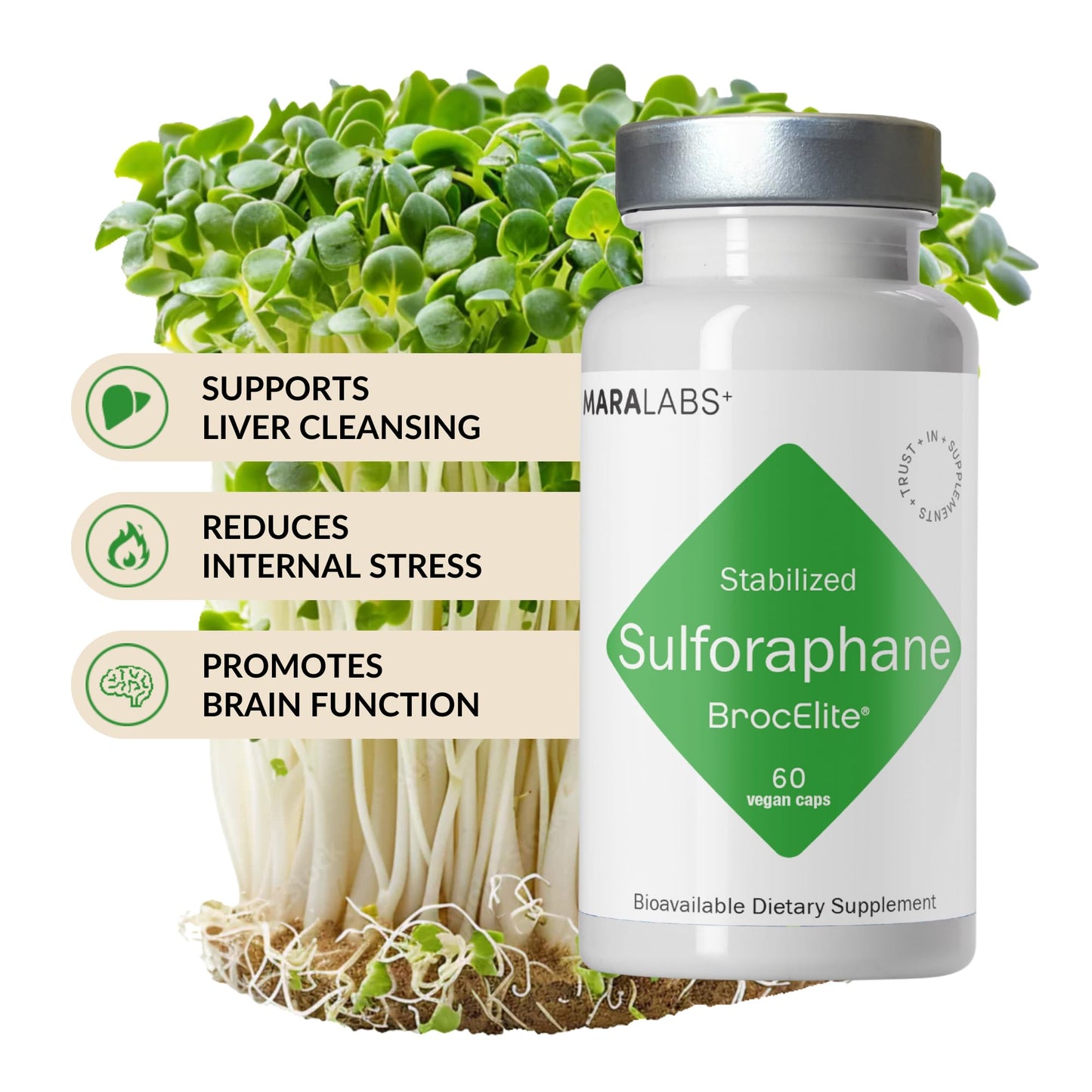 BrocElite Mara Labs Plus | Stabilized Broccoli Sulforaphane Supplement | Glyphosate Residue Free Certified – Third-Party Tested | 60 Vegan Capsules - dailyvitalstore