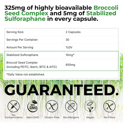 BrocElite Mara Labs Plus | Stabilized Broccoli Sulforaphane Supplement | Glyphosate Residue Free Certified – Third-Party Tested | 60 Vegan Capsules - dailyvitalstore