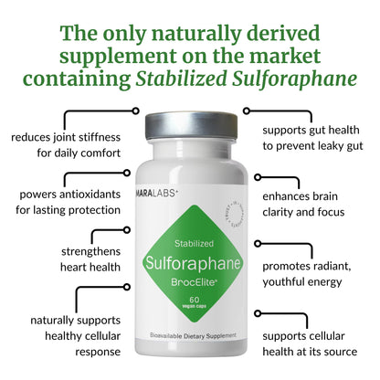 BrocElite Mara Labs Plus | Stabilized Broccoli Sulforaphane Supplement | Glyphosate Residue Free Certified – Third-Party Tested | 60 Vegan Capsules - dailyvitalstore