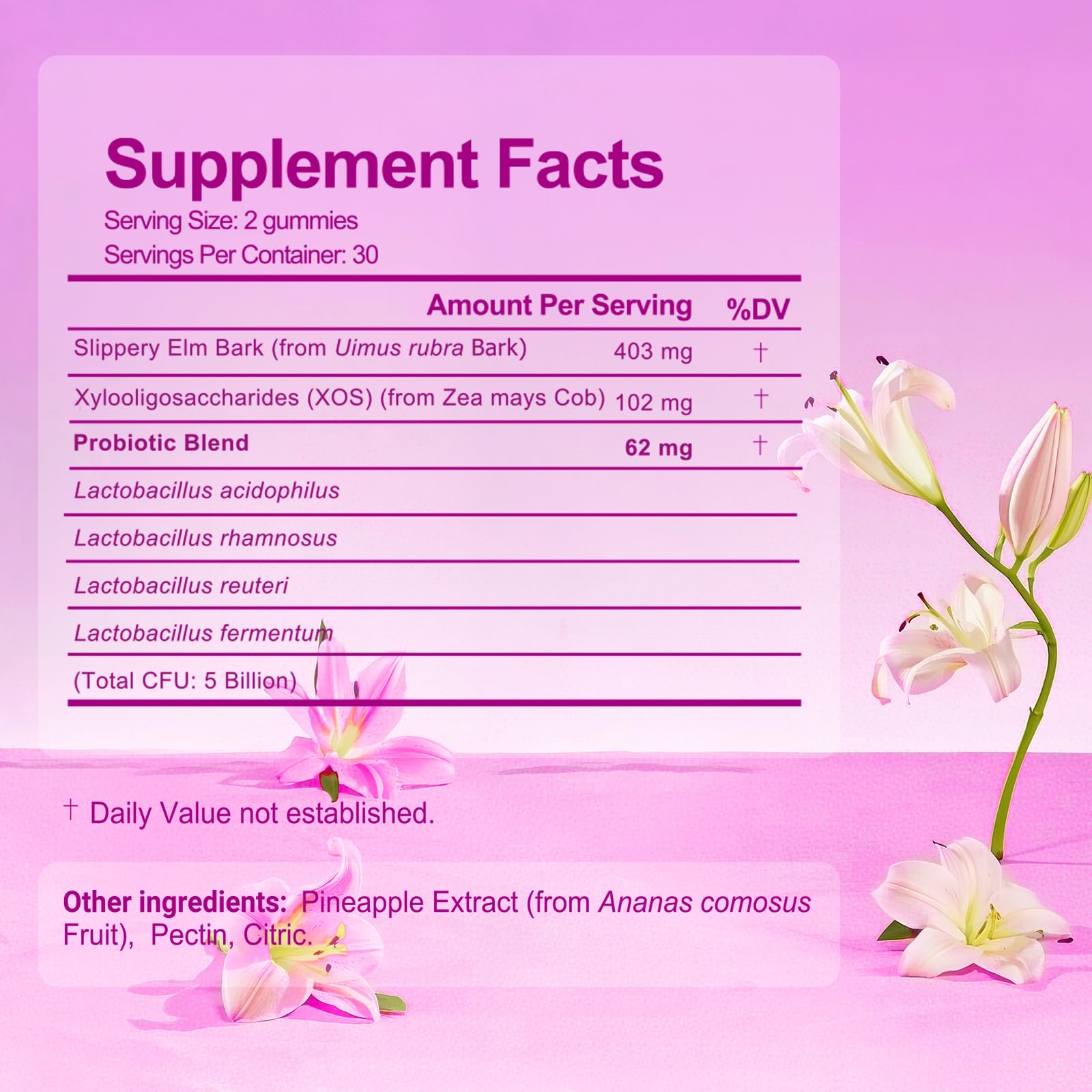 Brurtzexs Her Juicy Feminine Probiotics Gummies for Women with Slippery Elm - Pineapple Flavor, pH Balance & Immune Health Support - Digestive & Feminine Support - Vegan Supplement, 60 C - dailyvitalstore