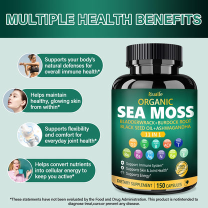 Bualle Irish Sea Moss Capsules – Organic Sea Moss, Black Seed Oil, Ashwagandha Supplements with Bladderwrack, Ginger & Burdock Root – Supports Daily Wellness, Skin & Energy – 150 Count (1 Pack) - dailyvitalstore