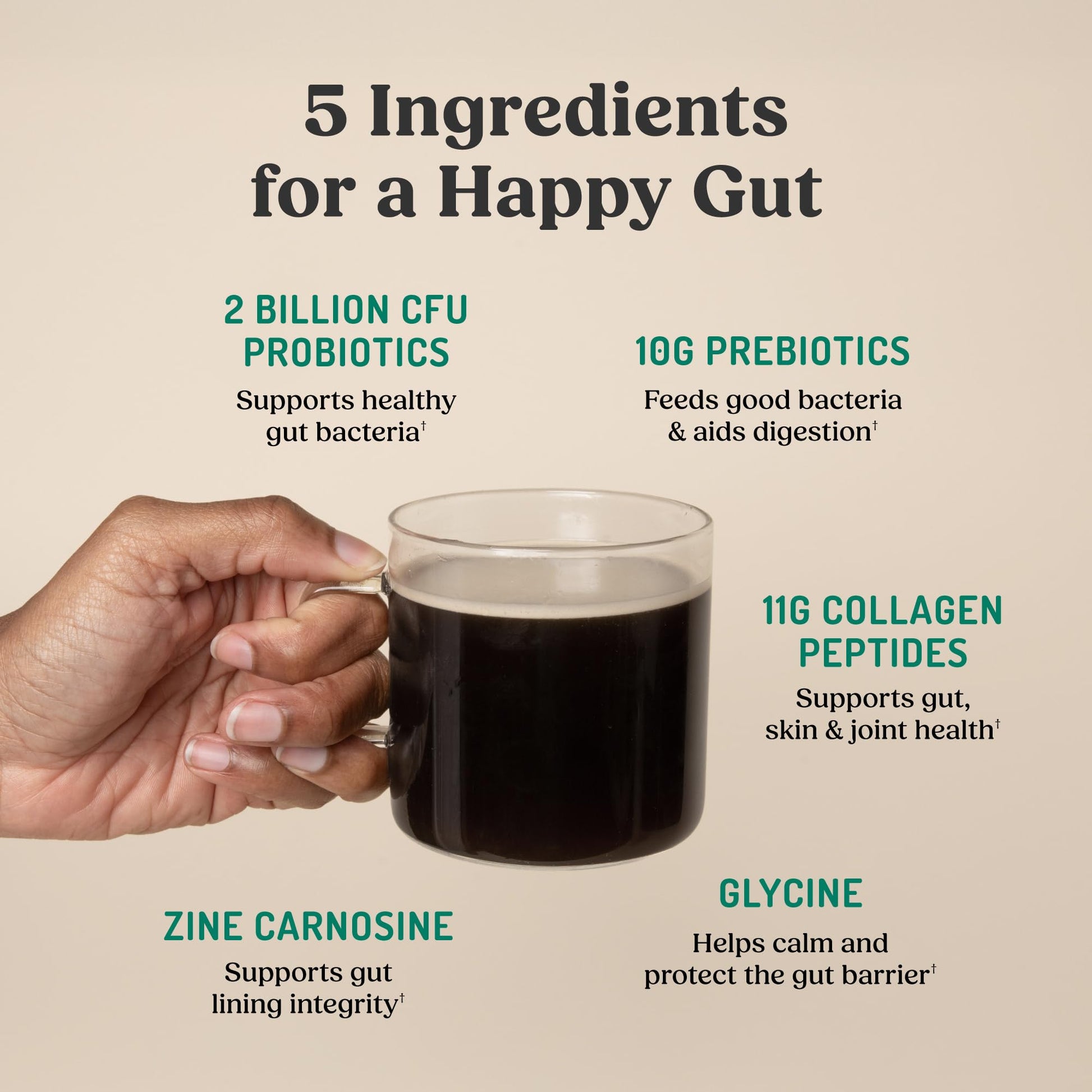Bulletproof Unflavored Gut Health Collagen Protein, 14 Ounces, 10g Grass-Fed Collagen Peptides for Gut, Skin, Bone and Joint Support - dailyvitalstore