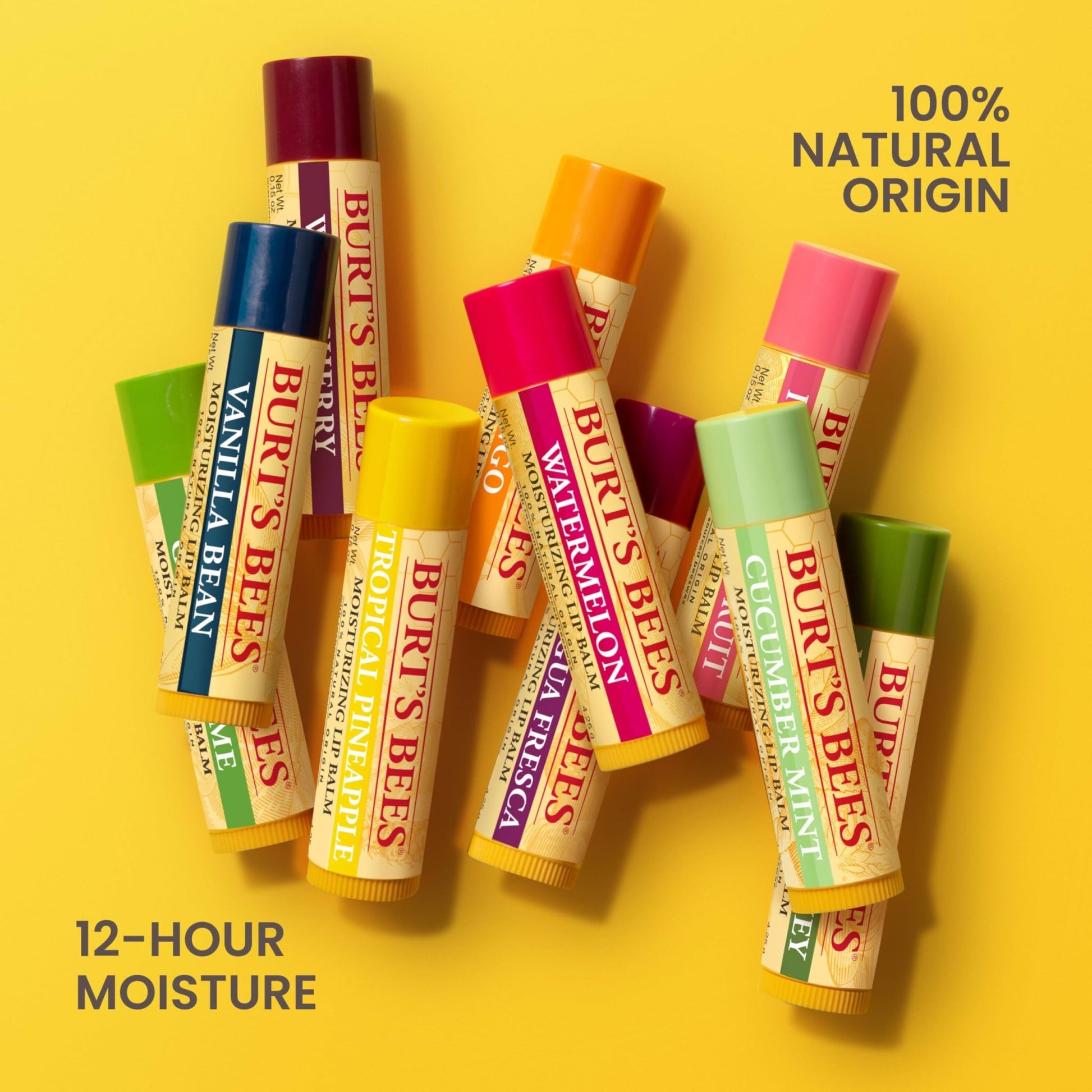 Burt's Bees 100% Natural Moisturizing Lip Balm (Superfruit) - dailyvitalstore