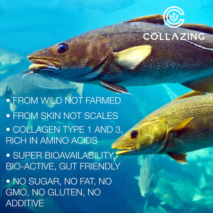 C COLLAZING - Alaskan Wild-Caught Marine Collagen Peptides with Hyaluronic Acid & Vitamin C - Supports Skin, Hair, Nails, Joints & Bones - Type 1 & 3 Collagen - dailyvitalstore