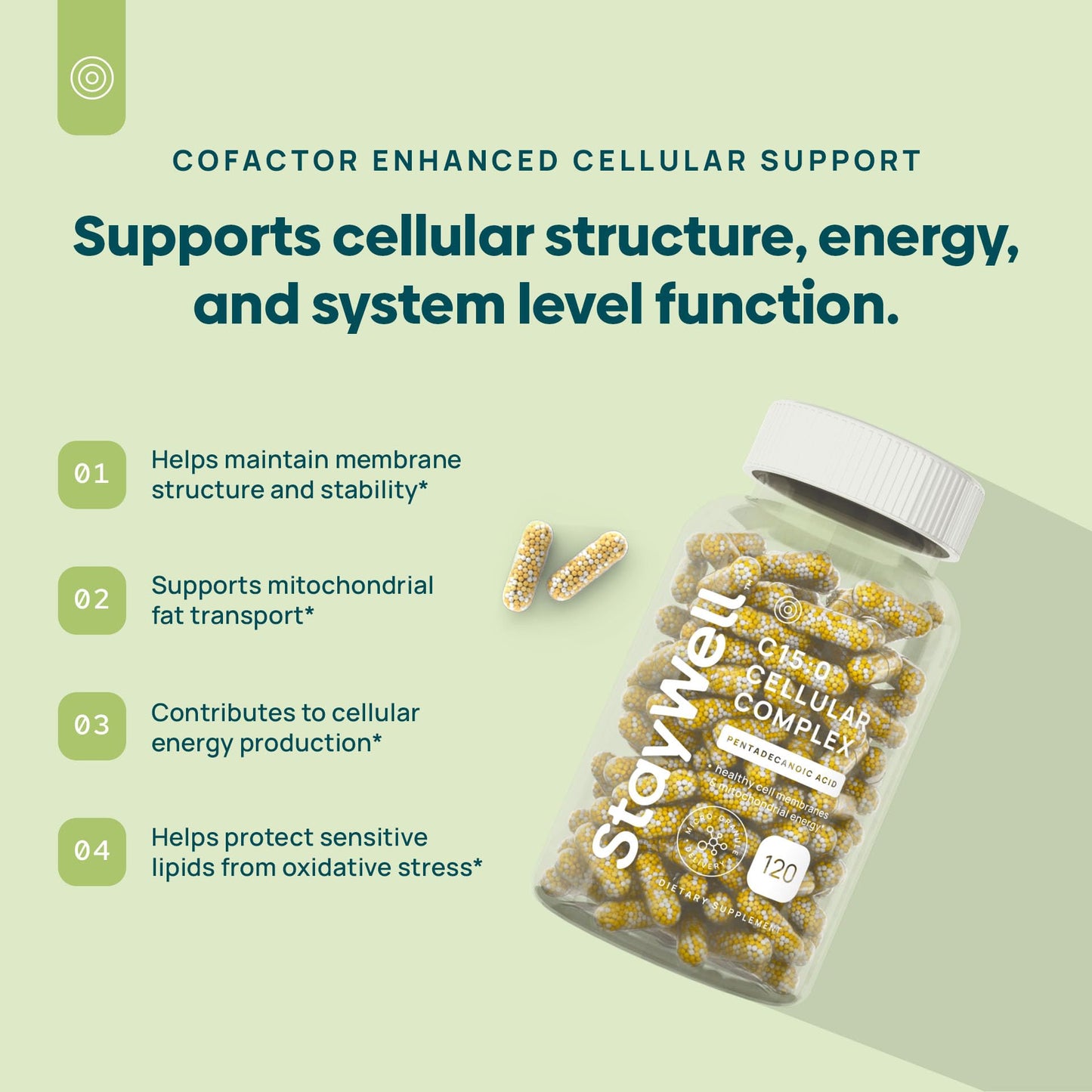 C15:0 Pentadecanoic Acid Supplement | Longevity, Cellular & Membrane Support, Micro-Granule Enhanced Absorption, Phosphatidylcholine, L-Carnitine, - dailyvitalstore