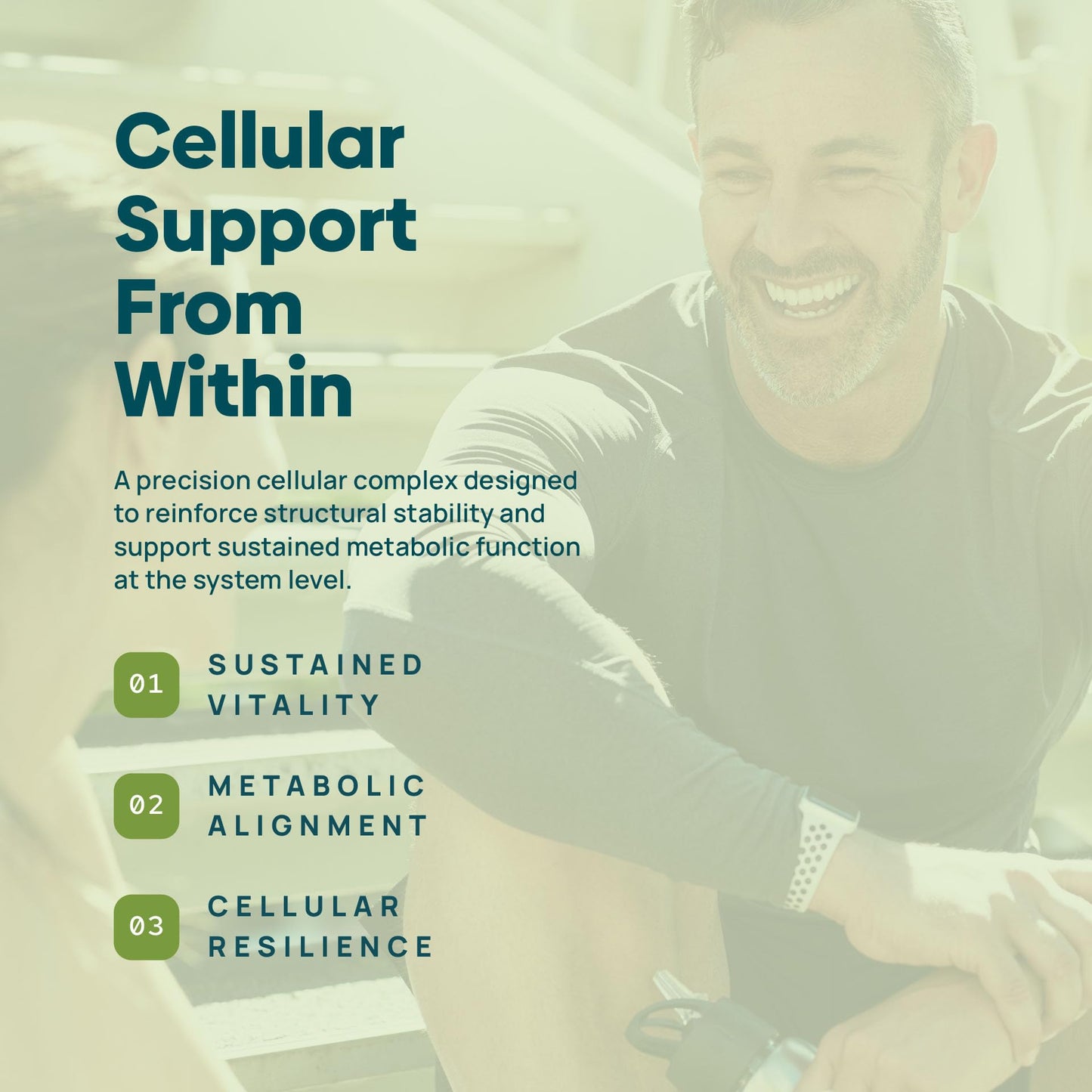 C15:0 Pentadecanoic Acid Supplement | Longevity, Cellular & Membrane Support, Micro-Granule Enhanced Absorption, Phosphatidylcholine, L-Carnitine, - dailyvitalstore