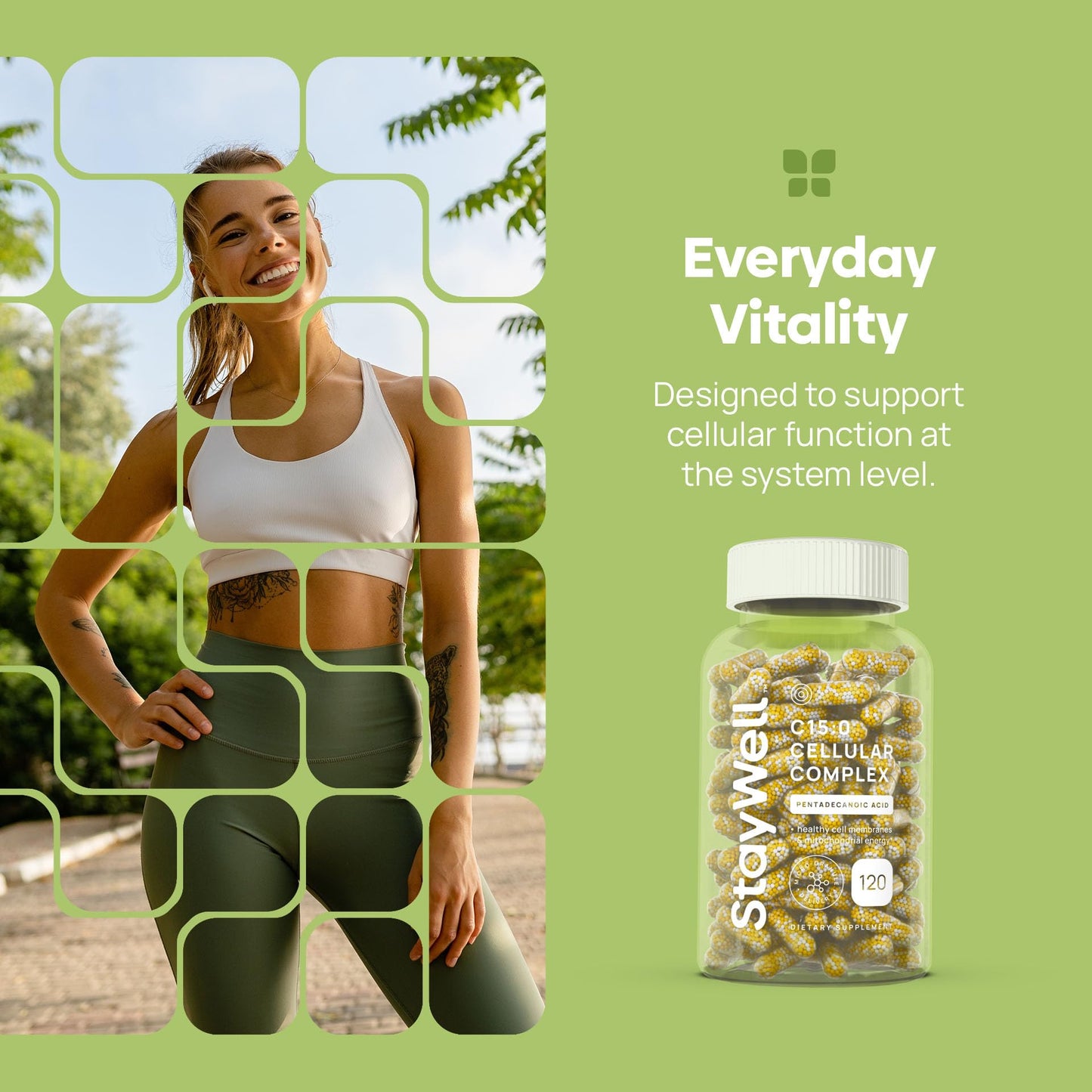 C15:0 Pentadecanoic Acid Supplement | Longevity, Cellular & Membrane Support, Micro-Granule Enhanced Absorption, Phosphatidylcholine, L-Carnitine, - dailyvitalstore