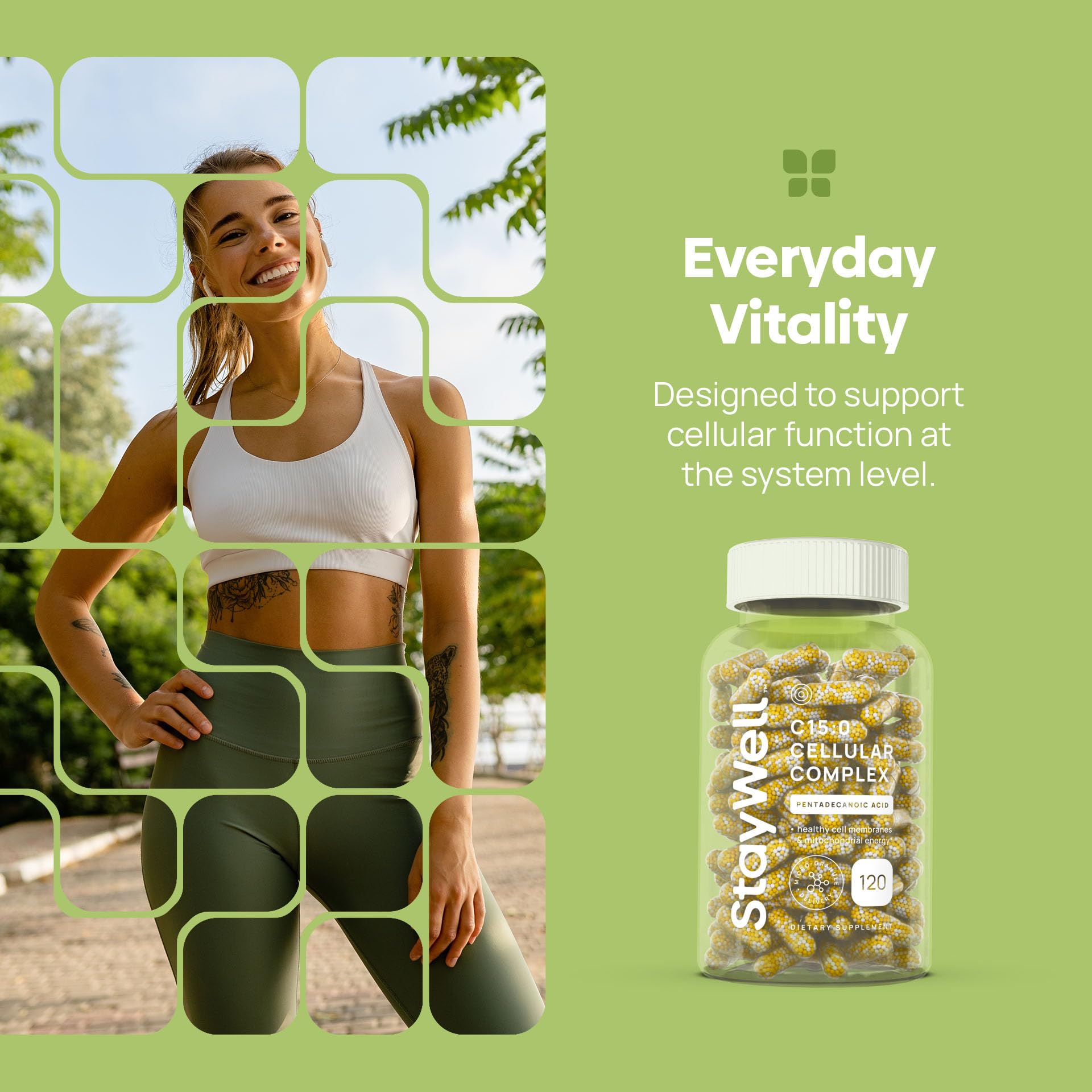 C15:0 Pentadecanoic Acid Supplement | Longevity, Cellular & Membrane Support, Micro-Granule Enhanced Absorption, Phosphatidylcholine, L-Carnitine, - dailyvitalstore