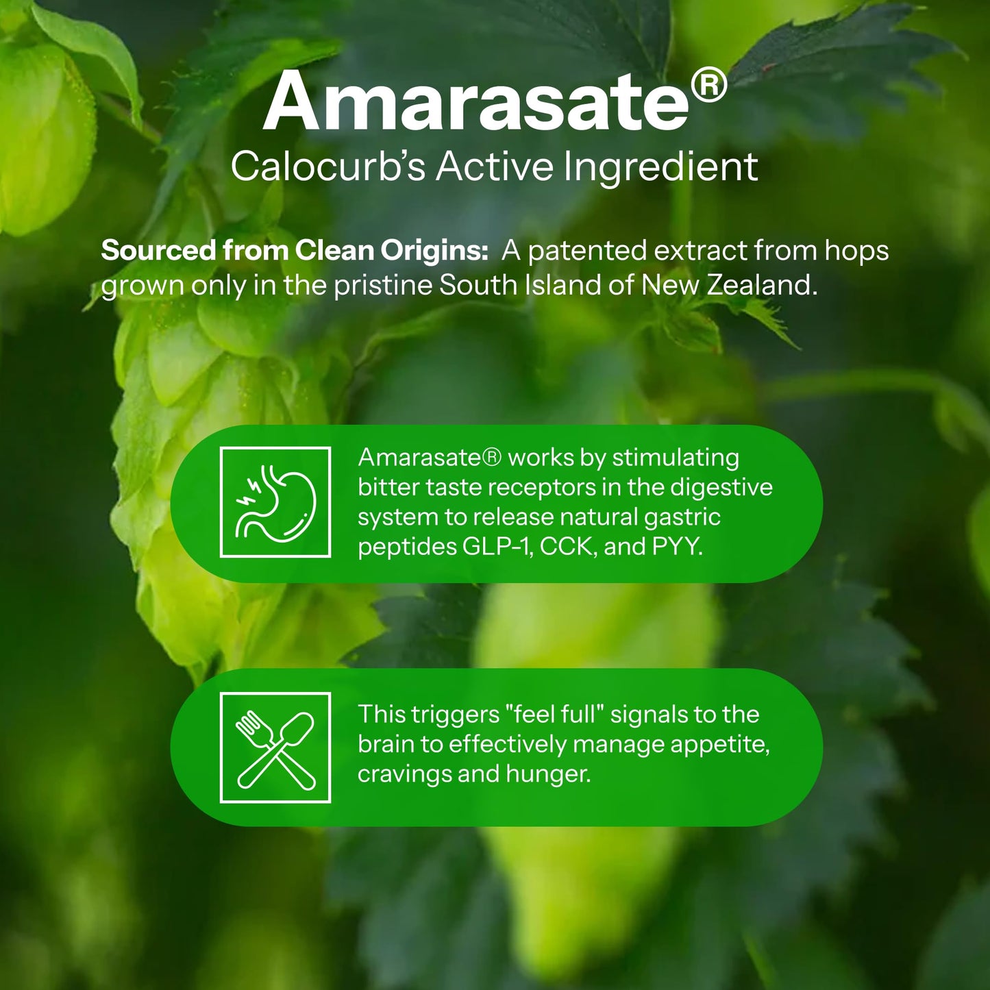 Calorie Control Supplement 6X Natural Support, Official & Patented Amarasate Formula, Plant Based Dietary GLP1 Supplement, Manages Appetite, Hunger & Cravings, - dailyvitalstore