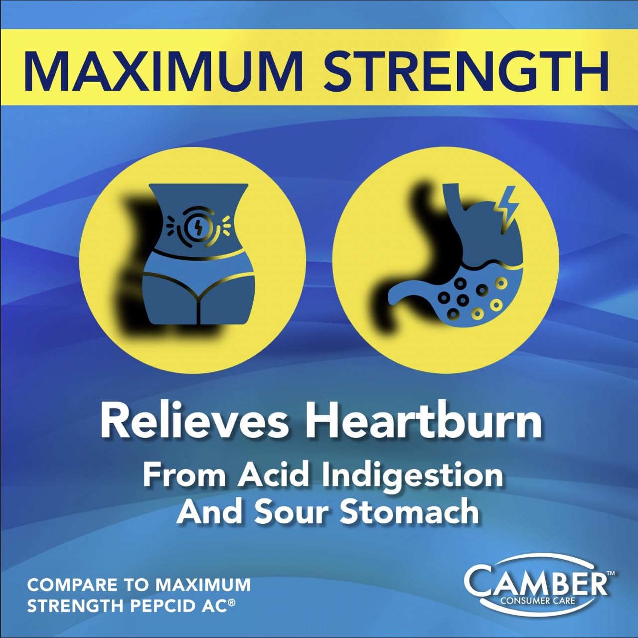 Camber Famotidine Tablets 20 mg Maximum Strength Acid Reducer 500ct Family Pack - dailyvitalstore