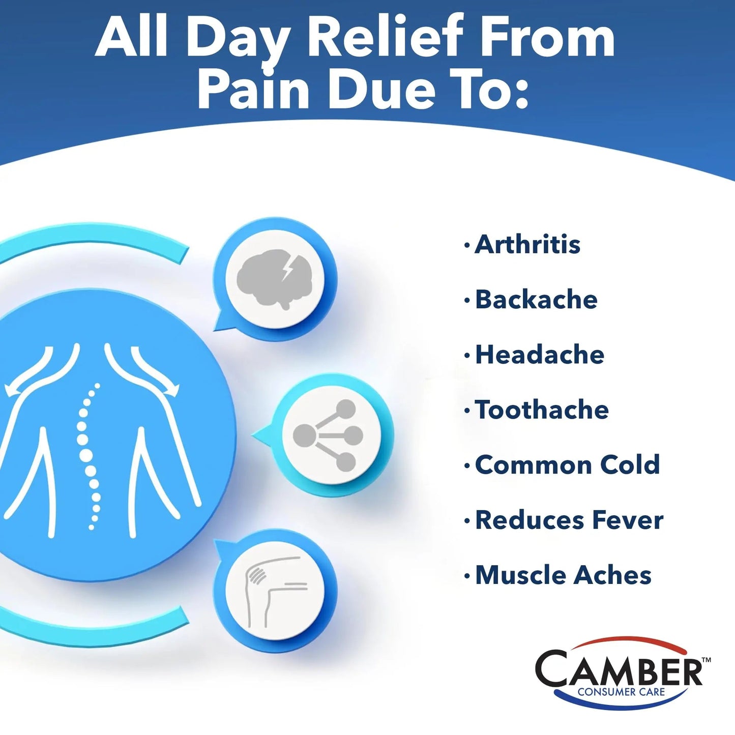 Camber Naproxen Sodium, 220 mg - Pain Reliever and Fever Reducer (500 Count) - dailyvitalstore