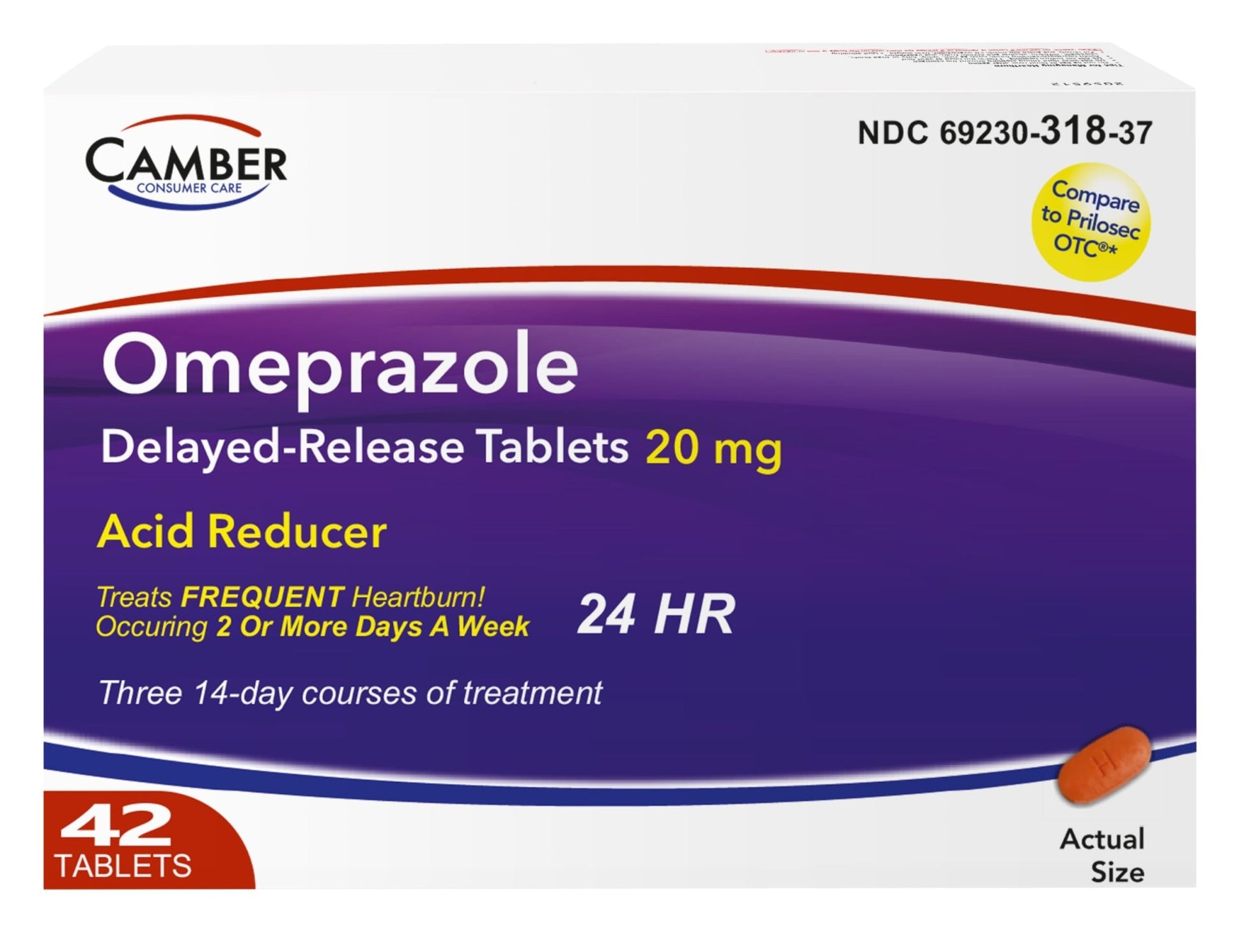 Camber Omeprazole 20mg Delayed-Release Tablets, Heartburn and Acid Reducer Reflux Medicine (42 Count) - dailyvitalstore