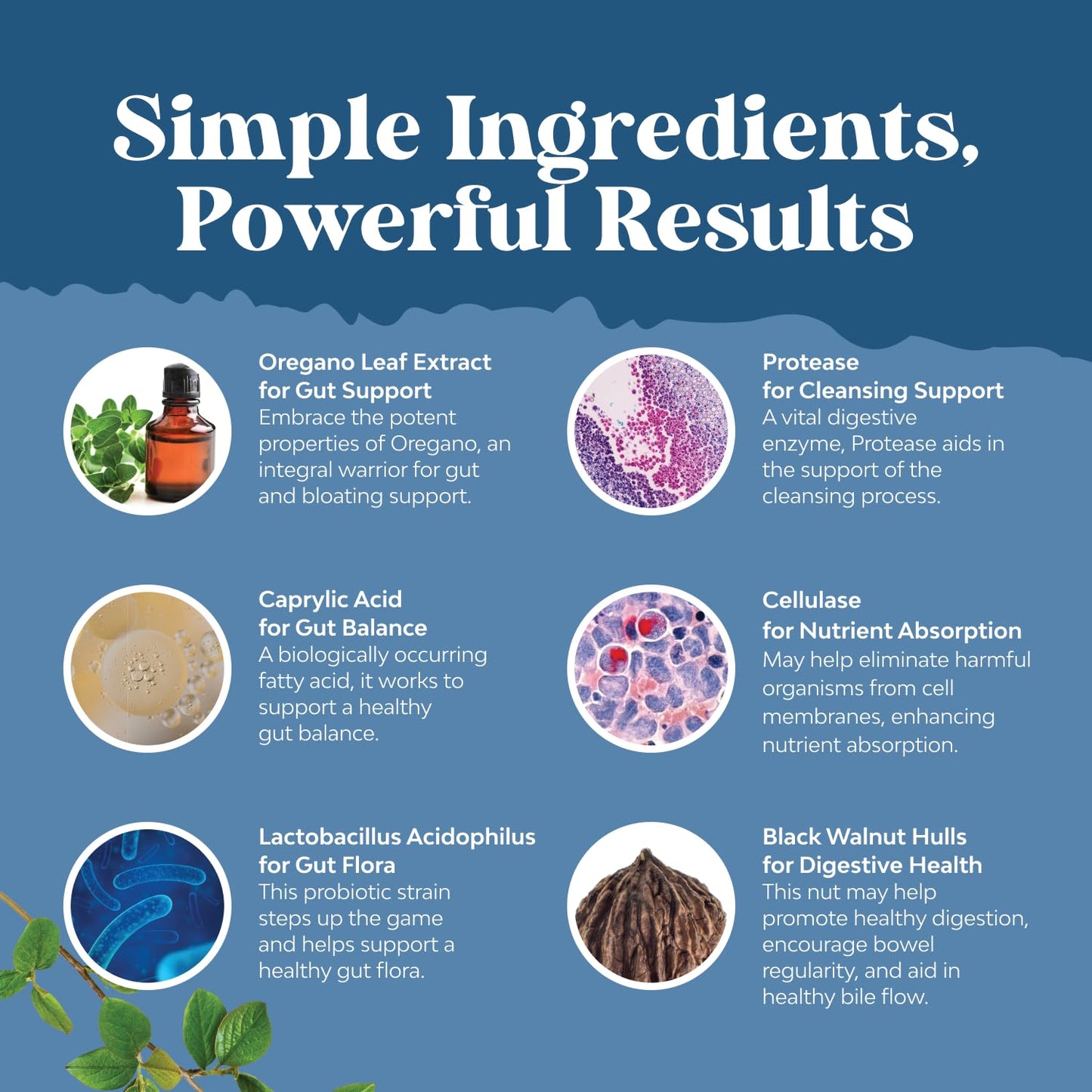 Candida Cleanse Detox for Women - Anti Overgrowth Gut Detox for Women with Caprylic Acid Black Walnut Wormwood and Oregano - Full Body Cleanse - dailyvitalstore