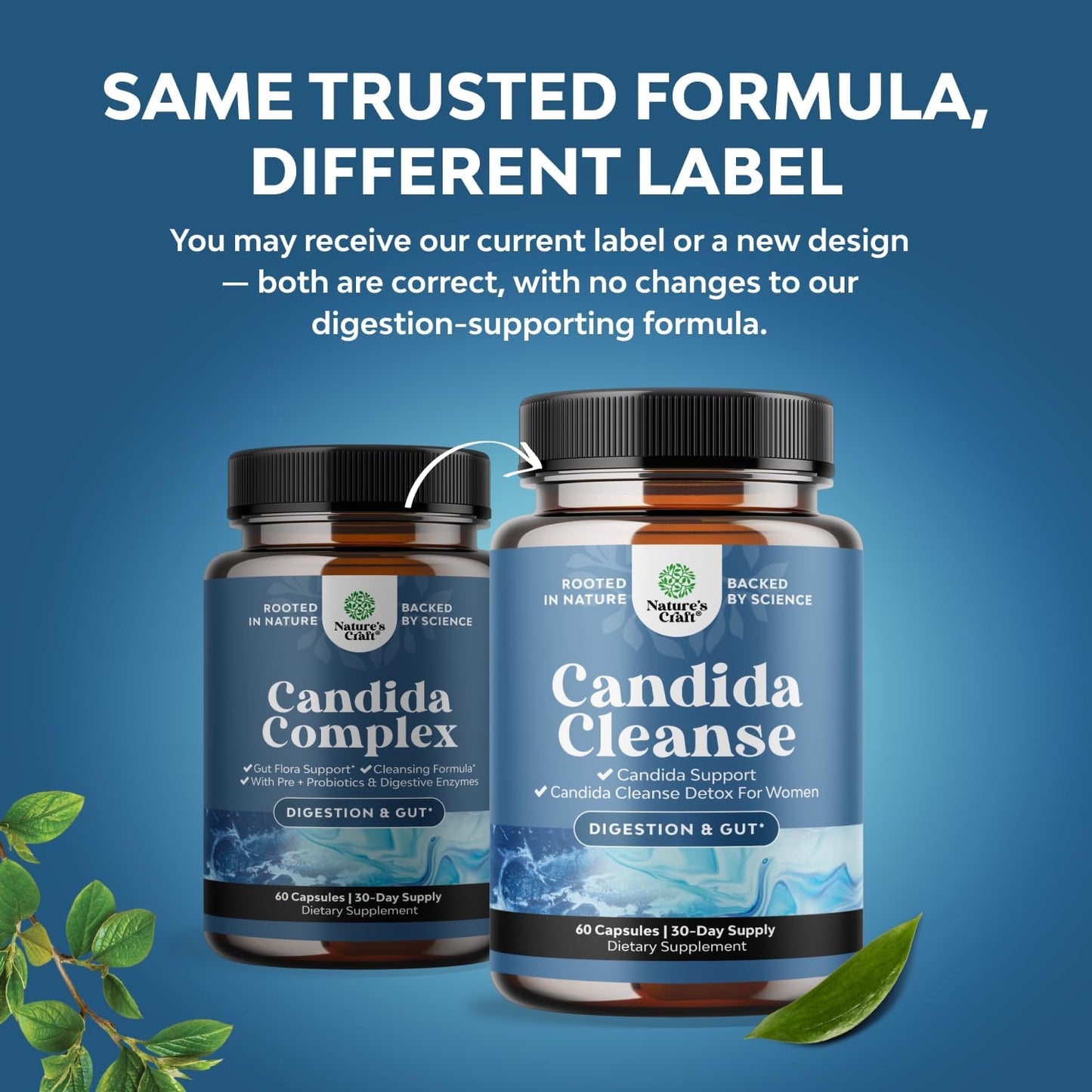 Candida Cleanse Detox for Women - Anti Overgrowth Gut Detox for Women with Caprylic Acid Black Walnut Wormwood and Oregano - Full Body Cleanse - dailyvitalstore