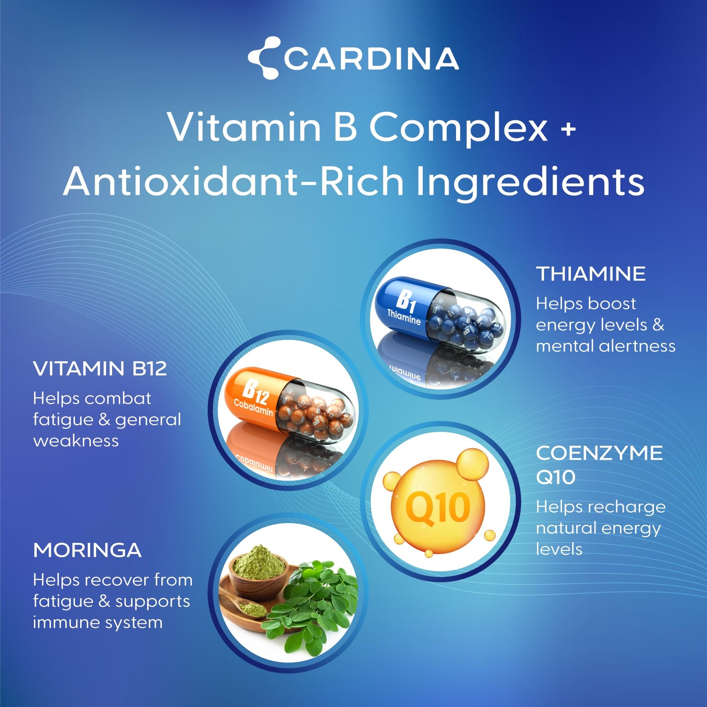 CARDINA B12 Vitamins for Women and Men - Brain Supplements for Memory and Focus with Thiamine B1 Supplement and COQ10 - Brain Memory Support - Non-GMO and Vegan B12 Supplement, 60 Ct - dailyvitalstore