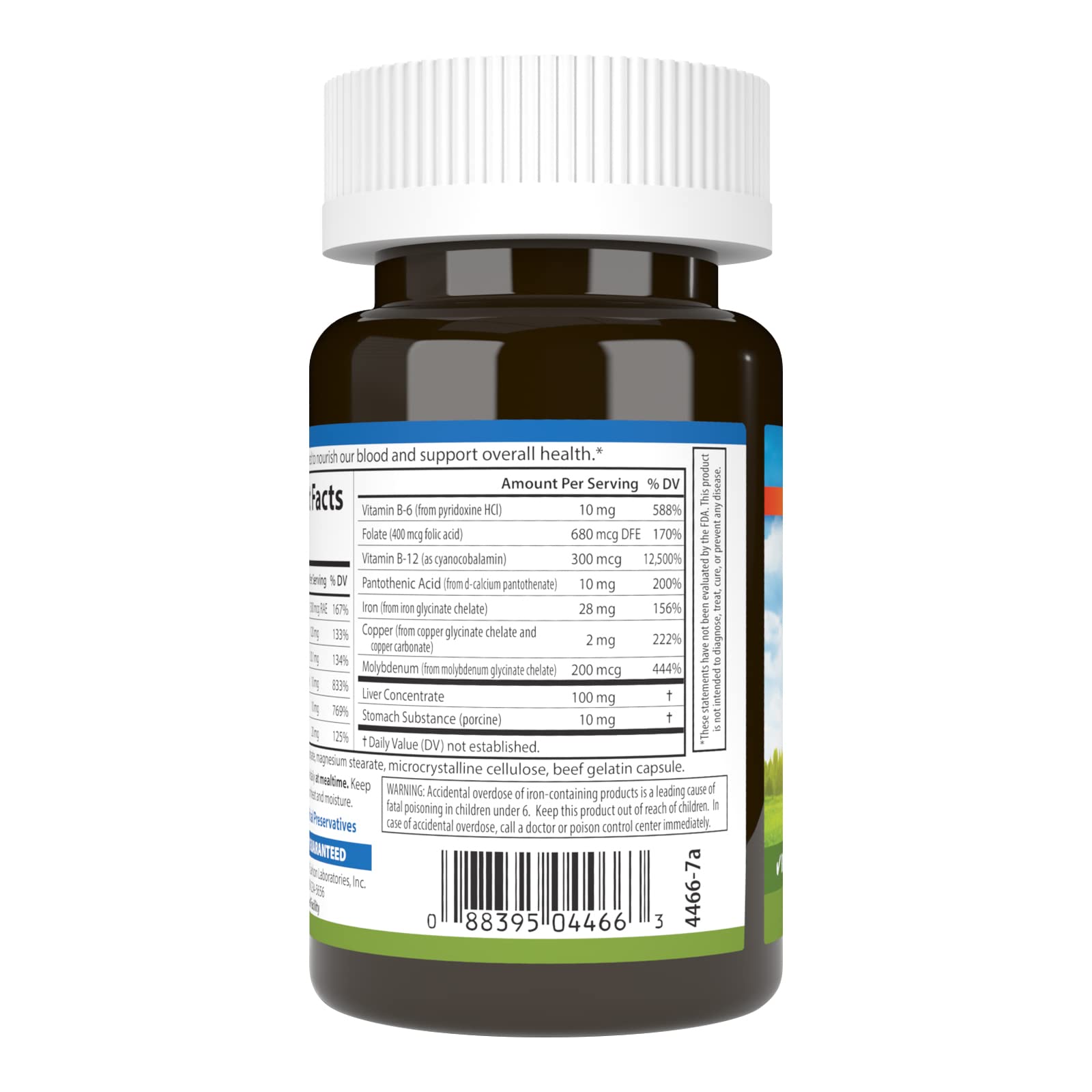 Carlson - Blood Nutrients, 28 mg Iron, Blood Development, Iron Absorption & Optimal Wellness, 40 Capsules - dailyvitalstore