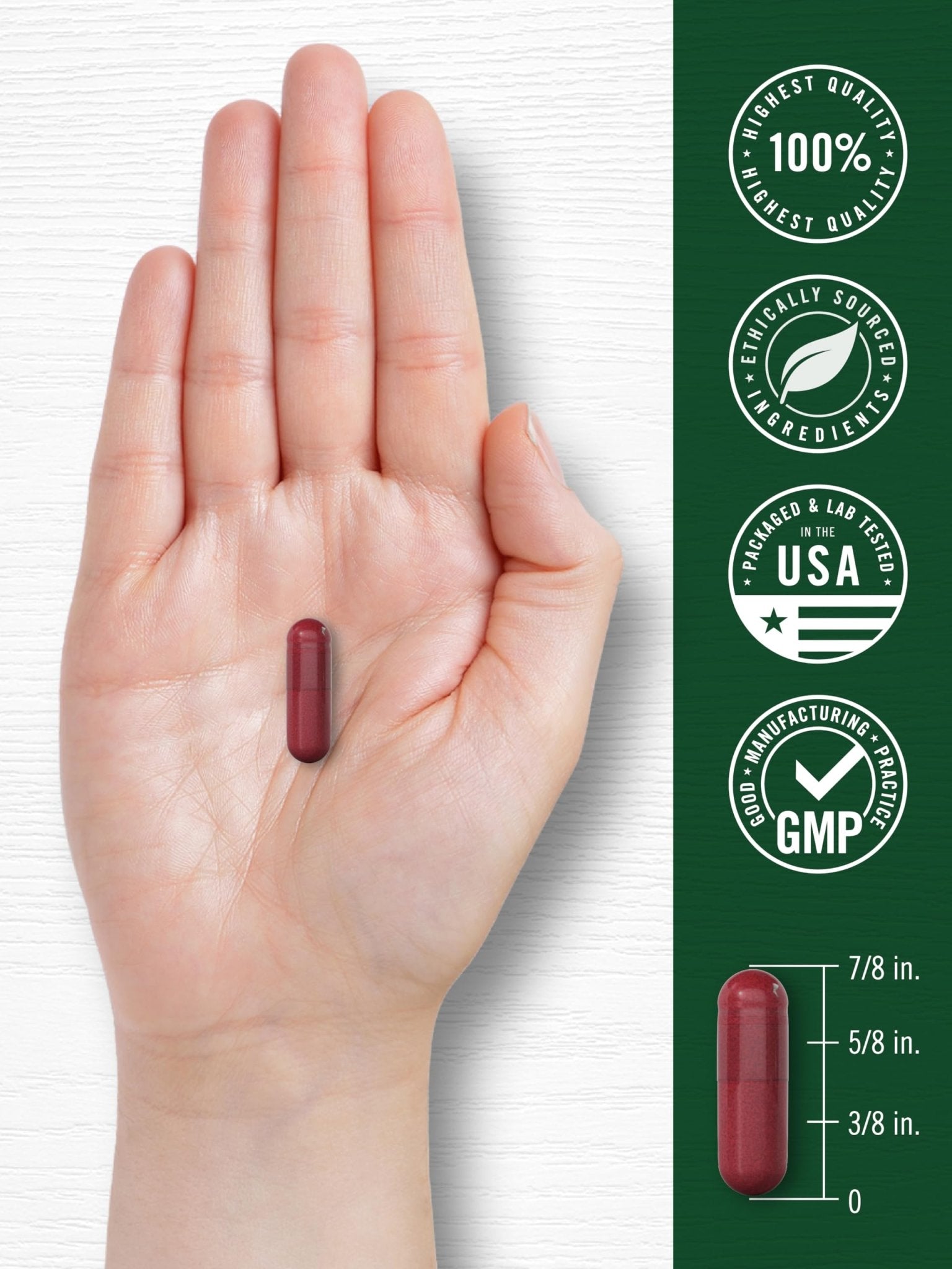 Carlyle Beet Root Capsules | 120 Count | Quick Release Capsules | Non-GMO and Gluten Free Supplement - dailyvitalstore