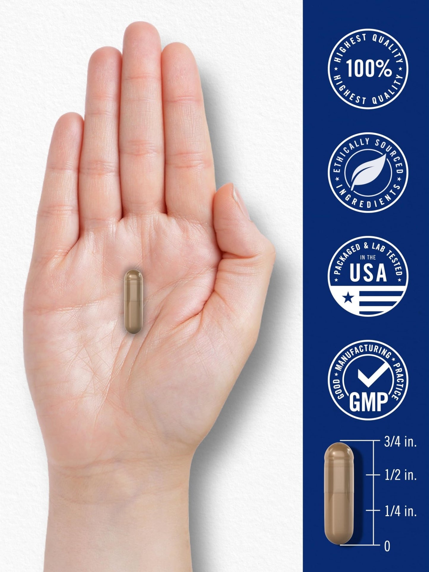 Carlyle Blood Circulation Supplement | 180 Capsules | Supports Healthy Circulation | Non-GMO, Gluten Free - dailyvitalstore
