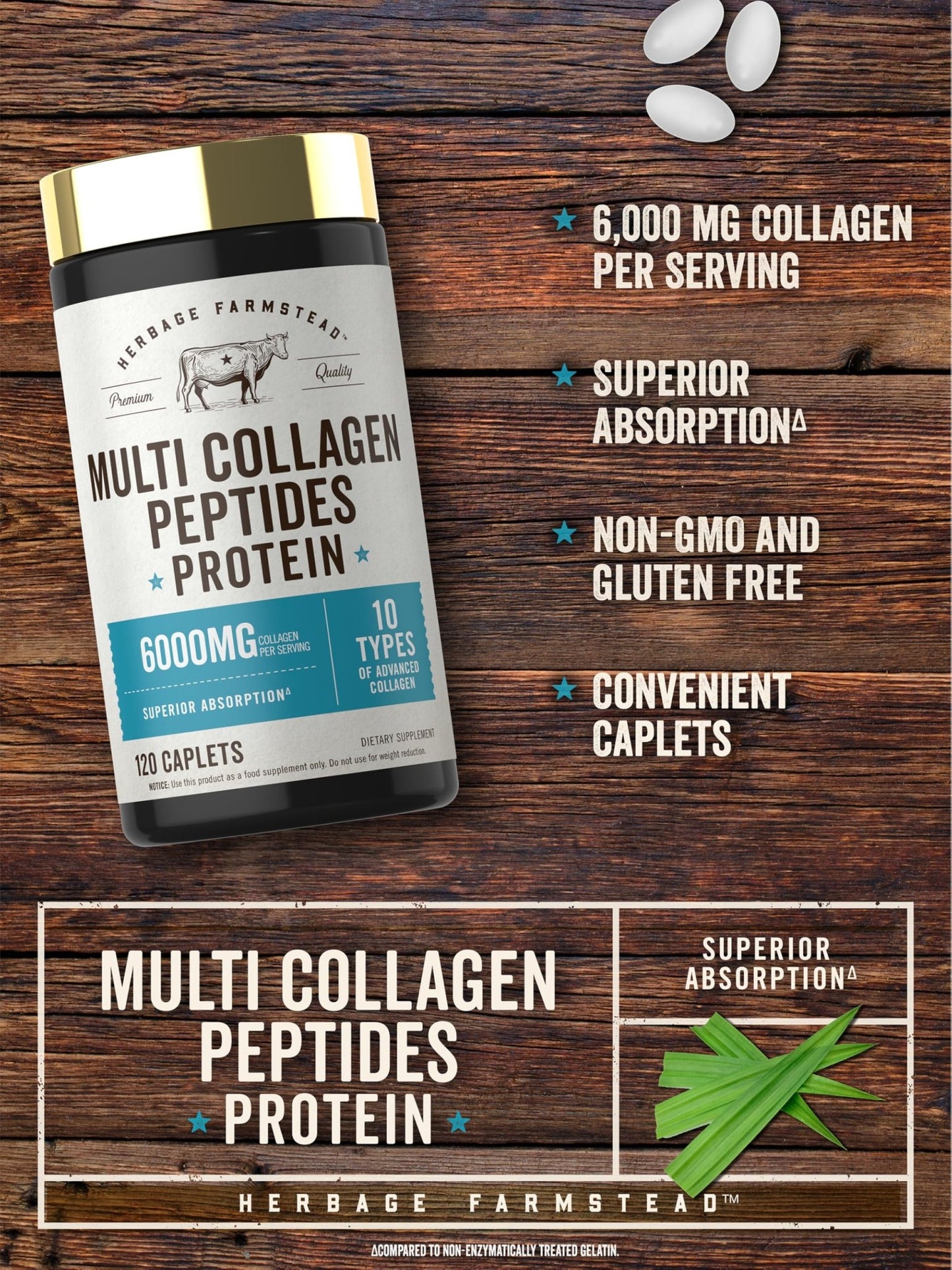 Carlyle Multi Collagen Peptides 6000mg | 120 Caplets | 10 Types of Advanced Collagen with Protein | Non-GMO, Gluten Free Supplement | by Herbage Farmstead - dailyvitalstore