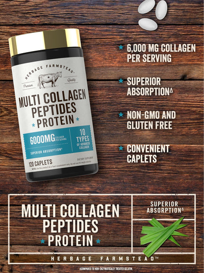 Carlyle Multi Collagen Peptides 6000mg | 120 Caplets | 10 Types of Advanced Collagen with Protein | Non-GMO, Gluten Free Supplement | by Herbage Farmstead - dailyvitalstore