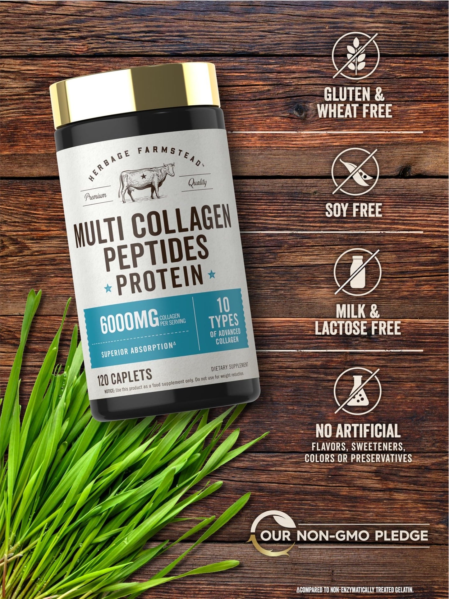 Carlyle Multi Collagen Peptides 6000mg | 120 Caplets | 10 Types of Advanced Collagen with Protein | Non-GMO, Gluten Free Supplement | by Herbage Farmstead - dailyvitalstore