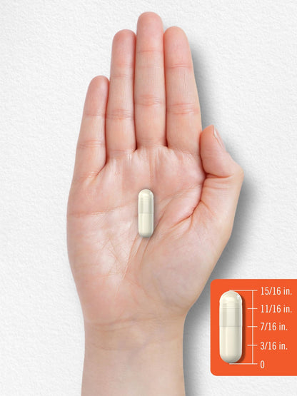 Carlyle Probiotic with Prebiotics & Postbiotics | 25 Billion CFU | 60 Capsules | Supplement for Women & Men | Powder Pills - dailyvitalstore