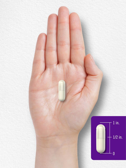 Carlyle Probiotics with Prebiotics | 120 Capsules | 50 Billion Active Organisms | Non-GMO & Gluten Free Supplement - dailyvitalstore