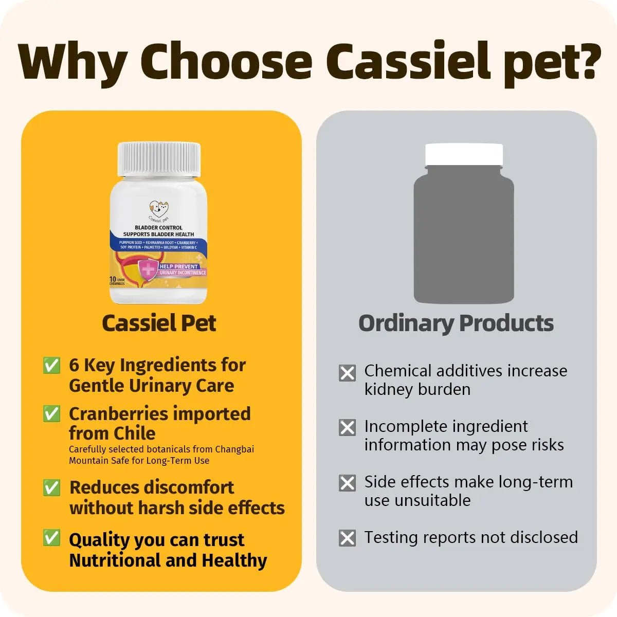Cassiel Pet Bladder Supports Chews for Urinary Tract Health, Infection Treatments, Bladder Health, Dog UTI, Bladder Stones, Incontinence Support, Urinary Pain Relief for Cat & Dog 10 Chews (1 Bottle) - dailyvitalstore