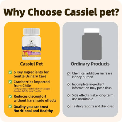Cassiel Pet Bladder Supports Chews for Urinary Tract Health, Infection Treatments, Bladder Health, Dog UTI, Bladder Stones, Incontinence Support, Urinary Pain Relief for Cat & Dog 10 Chews (1 Bottle) - dailyvitalstore