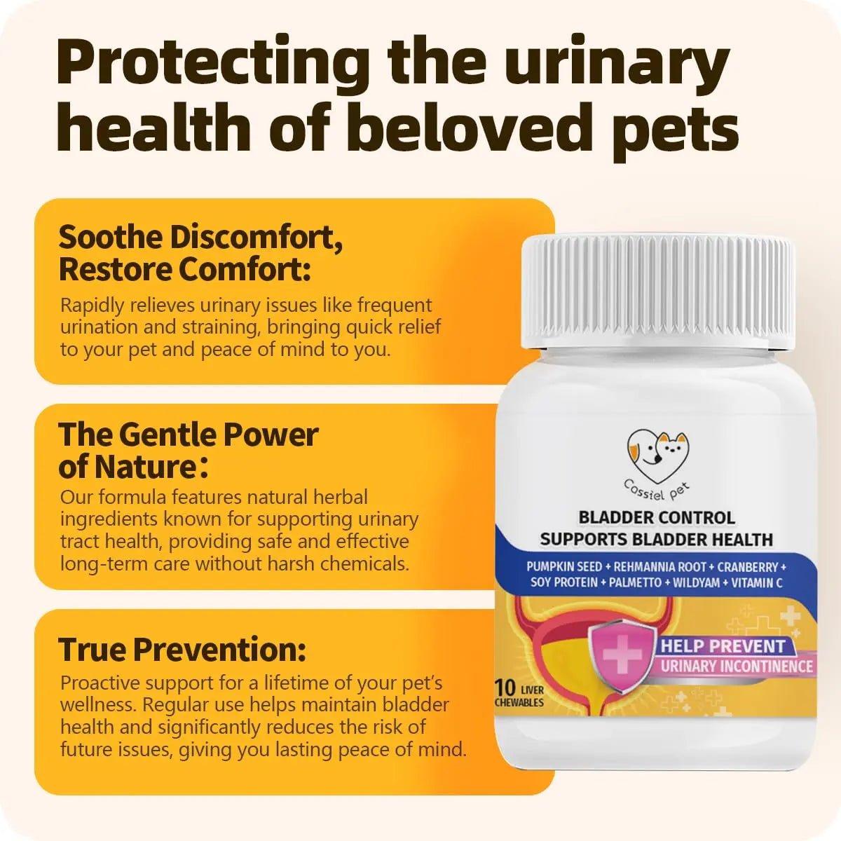 Cassiel Pet Bladder Supports Chews for Urinary Tract Health, Infection Treatments, Bladder Health, Dog UTI, Bladder Stones, Incontinence Support, Urinary Pain Relief for Cat & Dog 10 Chews (1 Bottle) - dailyvitalstore