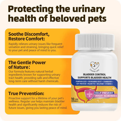 Cassiel Pet Bladder Supports Chews for Urinary Tract Health, Infection Treatments, Bladder Health, Dog UTI, Bladder Stones, Incontinence Support, Urinary Pain Relief for Cat & Dog 10 Chews (1 Bottle) - dailyvitalstore