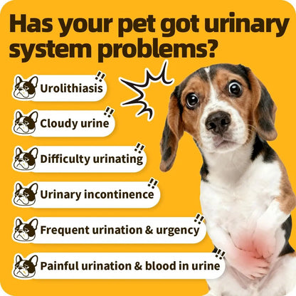 Cassiel Pet Bladder Supports Chews for Urinary Tract Health, Infection Treatments, Bladder Health, Dog UTI, Bladder Stones, Incontinence Support, Urinary Pain Relief for Cat & Dog 10 Chews (1 Bottle) - dailyvitalstore