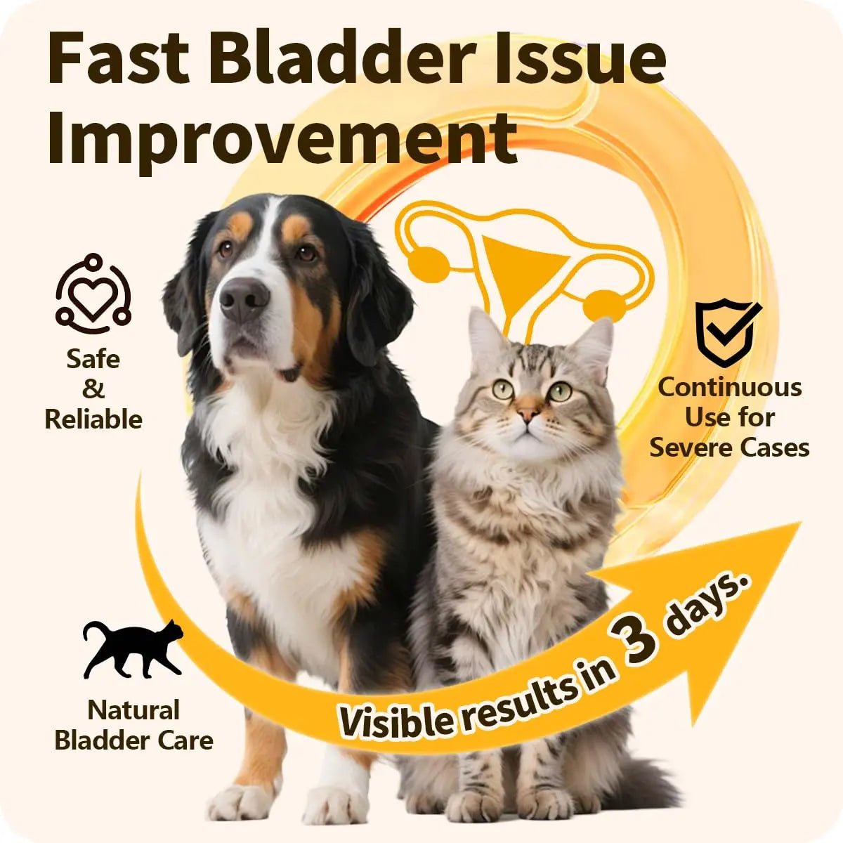 Cassiel Pet Bladder Supports Chews for Urinary Tract Health, Infection Treatments, Bladder Health, Dog UTI, Bladder Stones, Incontinence Support, Urinary Pain Relief for Cat & Dog 10 Chews (1 Bottle) - dailyvitalstore