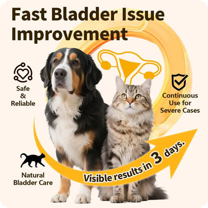 Cassiel Pet Bladder Supports Chews for Urinary Tract Health, Infection Treatments, Bladder Health, Dog UTI, Bladder Stones, Incontinence Support, Urinary Pain Relief for Cat & Dog 10 Chews (1 Bottle) - dailyvitalstore