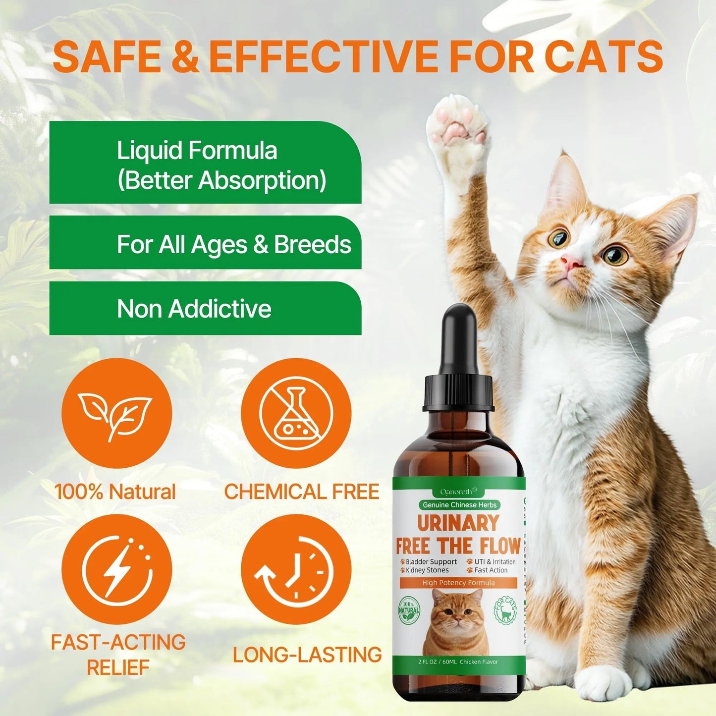 Cat Bladder Remedy for Stones & Crystals, Kidney StonesDissolver forCat- Urinary Free The Flow - Cat Urinary Tract Infection Treatment for Stones, Herbal CatUTI Remedy for Stone Relief & Prevention - dailyvitalstore