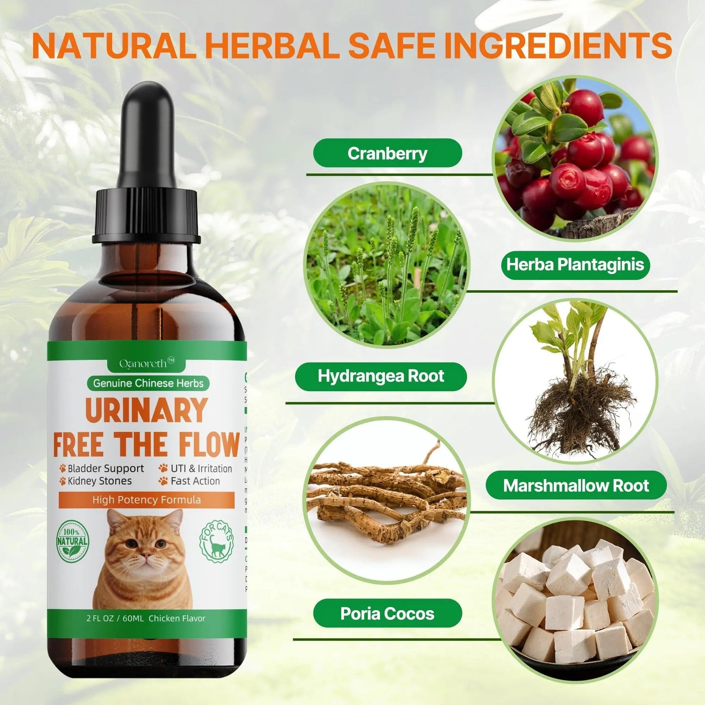 Cat Bladder Remedy for Stones & Crystals, Kidney StonesDissolver forCat- Urinary Free The Flow - Cat Urinary Tract Infection Treatment for Stones, Herbal CatUTI Remedy for Stone Relief & Prevention - dailyvitalstore