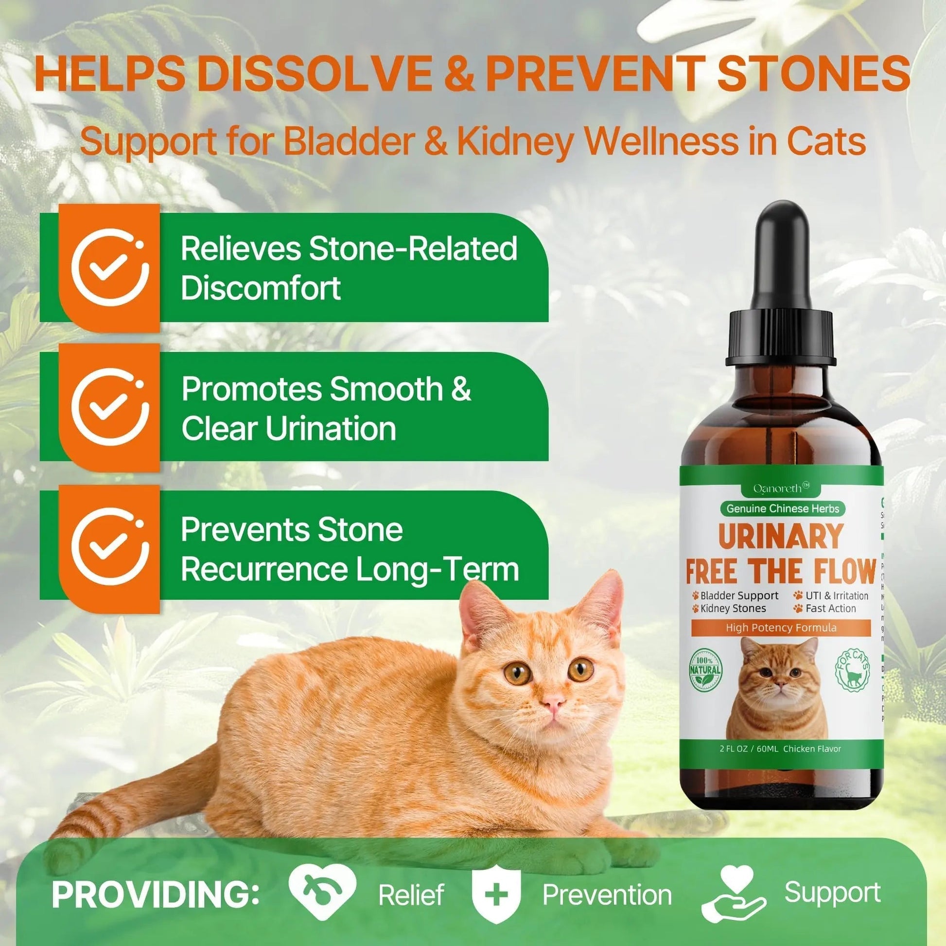 Cat Bladder Remedy for Stones & Crystals, Kidney StonesDissolver forCat- Urinary Free The Flow - Cat Urinary Tract Infection Treatment for Stones, Herbal CatUTI Remedy for Stone Relief & Prevention - dailyvitalstore