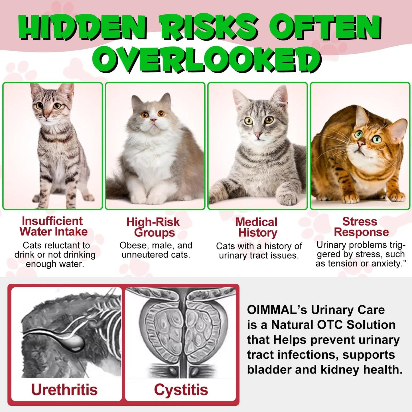Cat Urinary Tract Infection Treatment, Cat UTI Treatment Drops Supports Bladder, Kidney Stone, Cranberry Kidney Bladder Support Supplement, Chicken Flavor, 60ml - dailyvitalstore