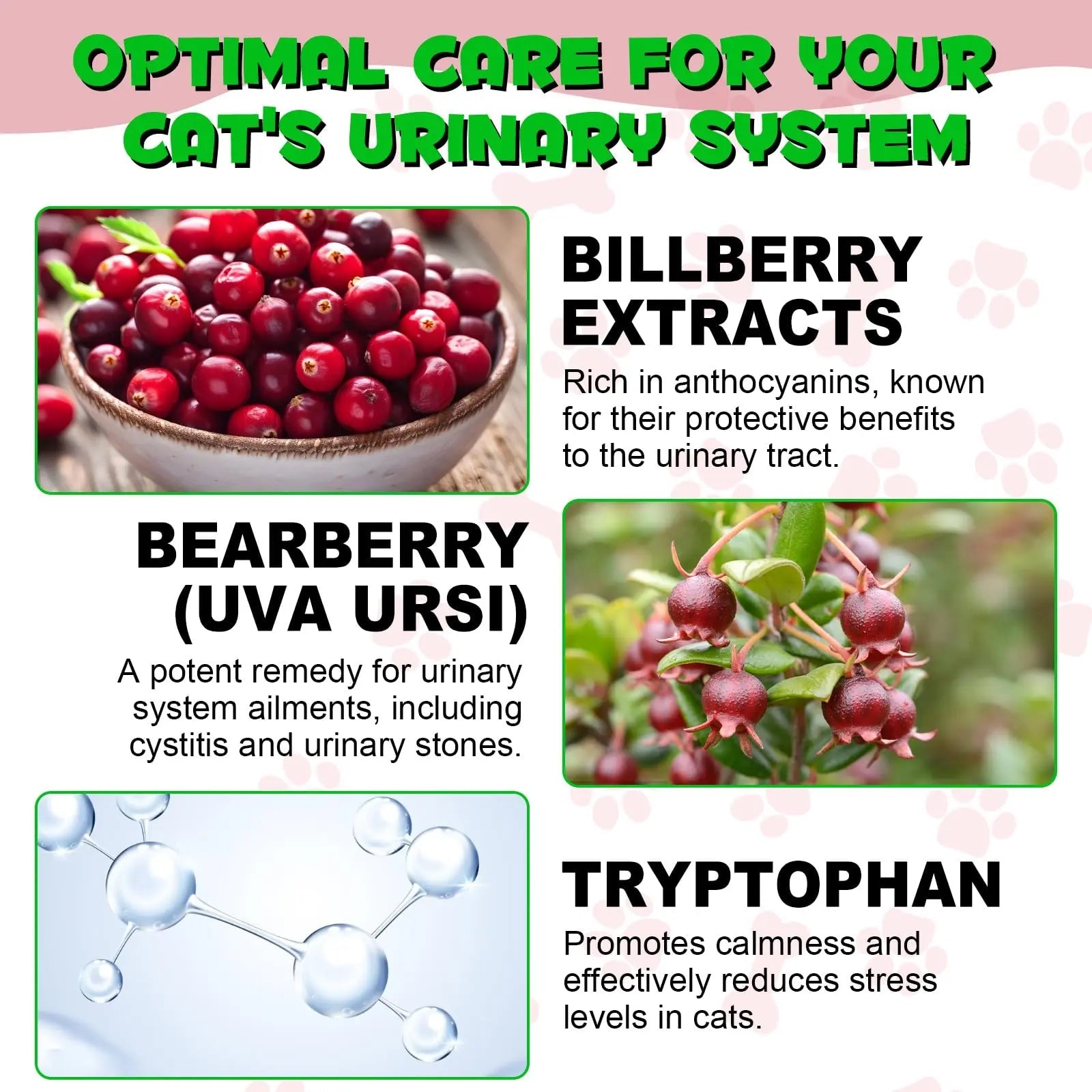 Cat Urinary Tract Infection Treatment, Cat UTI Treatment Drops Supports Bladder, Kidney Stone, Cranberry Kidney Bladder Support Supplement, Chicken Flavor, 60ml - dailyvitalstore