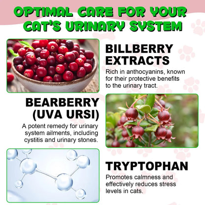 Cat Urinary Tract Infection Treatment, Cat UTI Treatment Drops Supports Bladder, Kidney Stone, Cranberry Kidney Bladder Support Supplement, Chicken Flavor, 60ml - dailyvitalstore