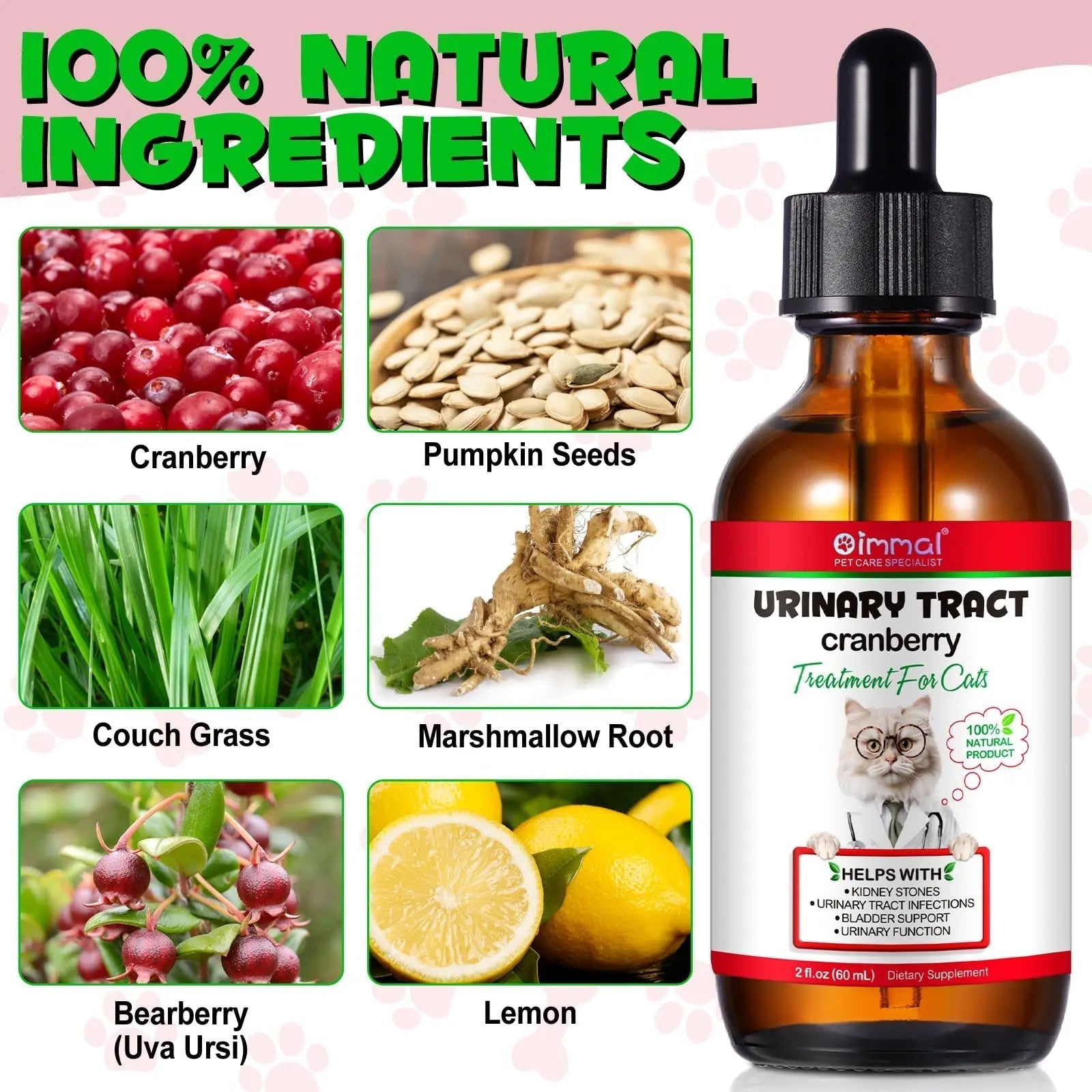 Cat Urinary Tract Infection Treatment, Cat UTI Treatment Drops Supports Bladder, Kidney Stone, Cranberry Kidney Bladder Support Supplement, Chicken Flavor, 60ml - dailyvitalstore