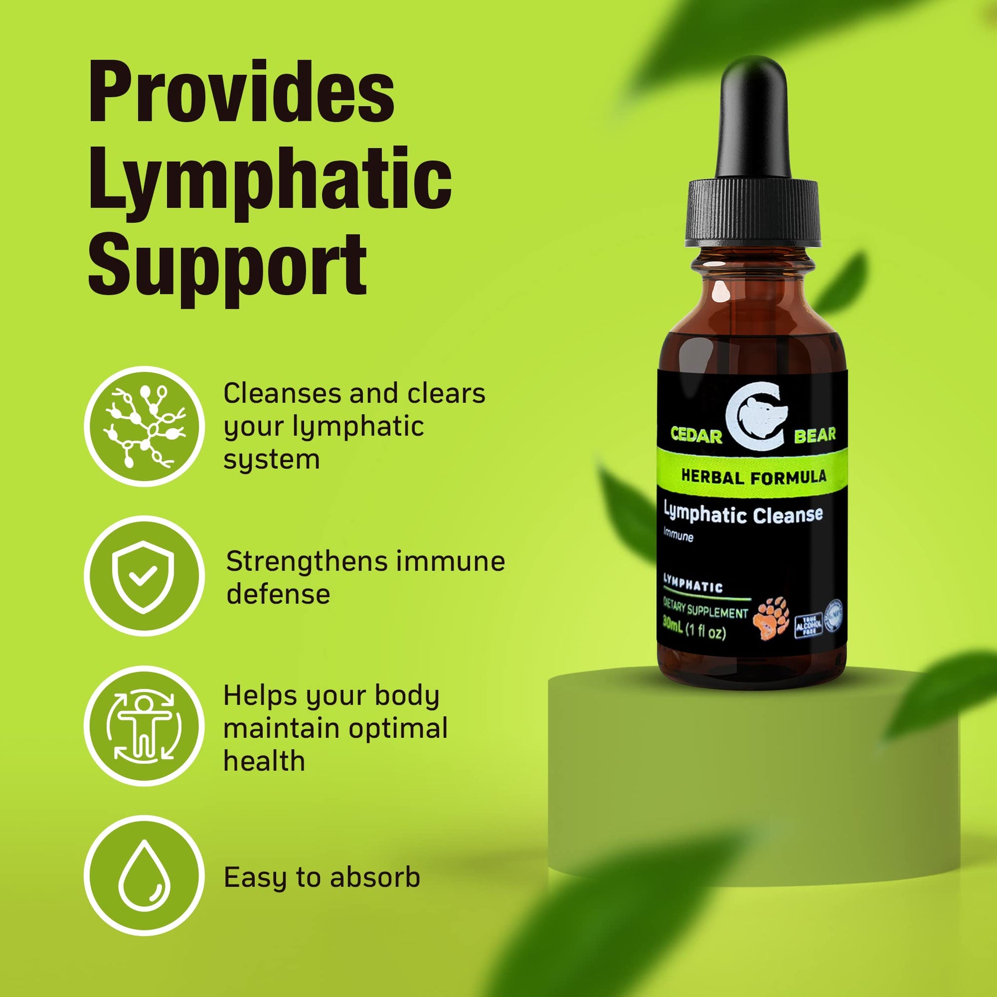 Cedar Bear - Lymphatic Cleanse Immune Support Supplement, Alcohol-Free Lymphatic Drainage Drops with Immune-Enhancing Natural Herbs, Liquid Herbal Supplements, 1 fl oz - dailyvitalstore