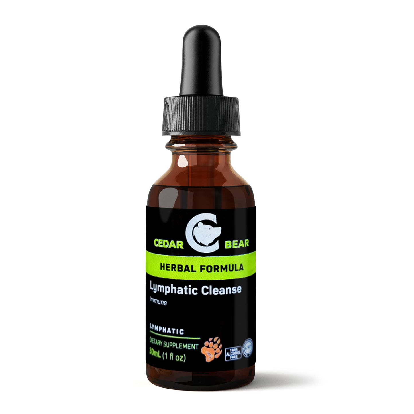 Cedar Bear - Lymphatic Cleanse Immune Support Supplement, Alcohol-Free Lymphatic Drainage Drops with Immune-Enhancing Natural Herbs, Liquid Herbal Supplements, 1 fl oz - dailyvitalstore