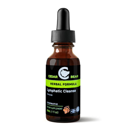 Cedar Bear - Lymphatic Cleanse Immune Support Supplement, Alcohol-Free Lymphatic Drainage Drops with Immune-Enhancing Natural Herbs, Liquid Herbal Supplements, 1 fl oz - dailyvitalstore