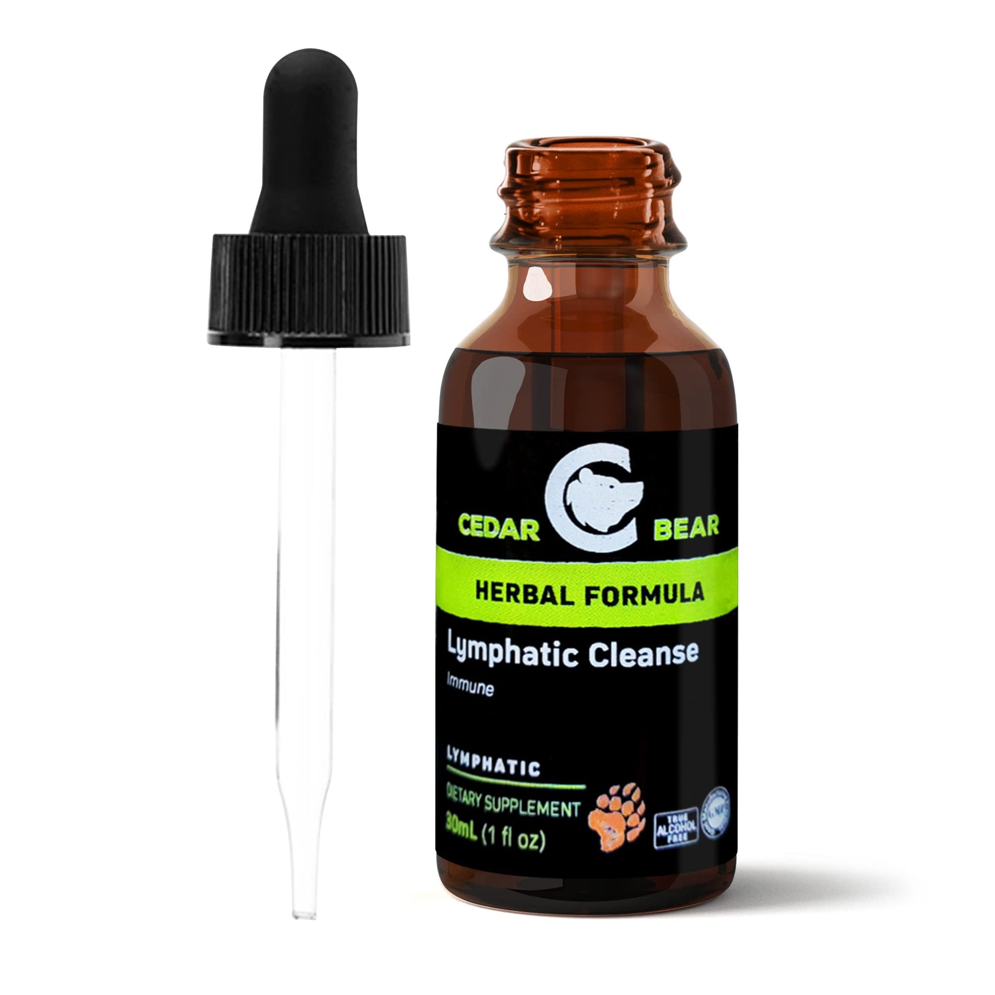 Cedar Bear - Lymphatic Cleanse Immune Support Supplement, Alcohol-Free Lymphatic Drainage Drops with Immune-Enhancing Natural Herbs, Liquid Herbal Supplements, 1 fl oz - dailyvitalstore