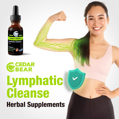 Cedar Bear - Lymphatic Cleanse Immune Support Supplement, Alcohol-Free Lymphatic Drainage Drops with Immune-Enhancing Natural Herbs, Liquid Herbal Supplements, 1 fl oz - dailyvitalstore