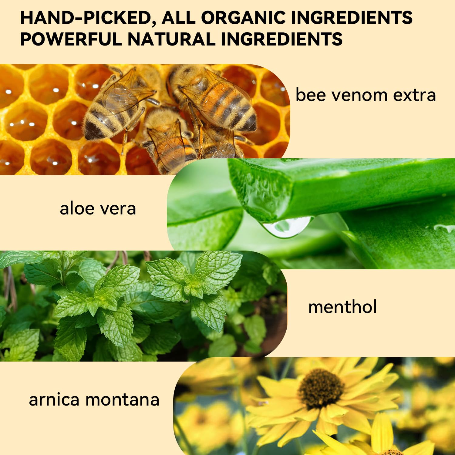 Cedonivor Bee Venom Cream, Joint & Muscle Soothing, Professional Bee Venom Joint Cream,Joint Gel - Specially for for Back, Neck, Hands, Knee - dailyvitalstore