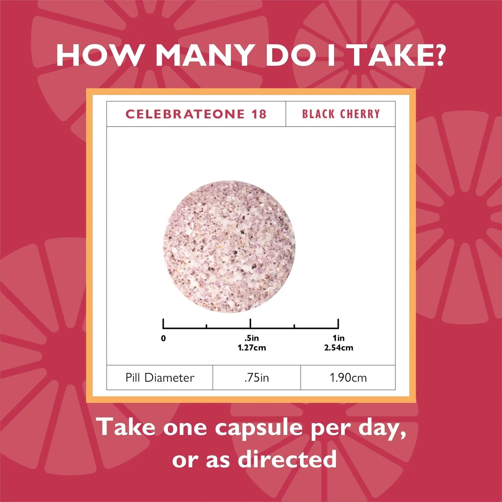 Celebrate Vitamins CelebrateONE 18 Chewables, 18mg Iron - Once Daily Bariatric Multivitamin, Essential Vitamins & Minerals - dailyvitalstore