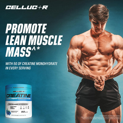 Cellucor Creatine Powder, Blue Raspberry Flavor - Increases Strength, Lean Muscle Mass & Endurance, Micronized Creatine for Fast Absorption - dailyvitalstore