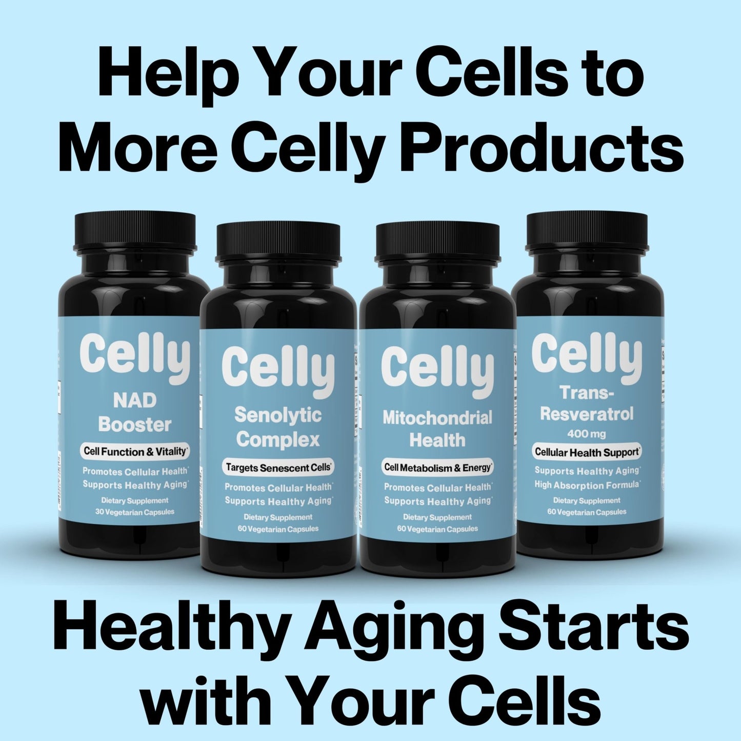 Celly Autophagy Activator | Longevity Supplement for Cellular Nutrition and Healthy Aging | Promotes Cell Renewal with Spermidine, Pterostilbene, Fisetin, and NAC | Made in USA & 3rd Party Tested - dailyvitalstore